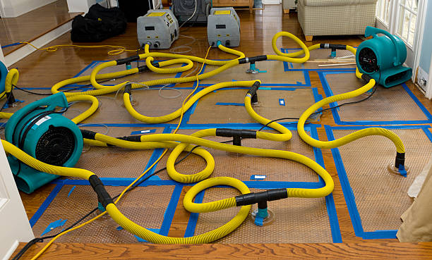 Professional Crawl Space Water Removal technician working in Silver City, IA